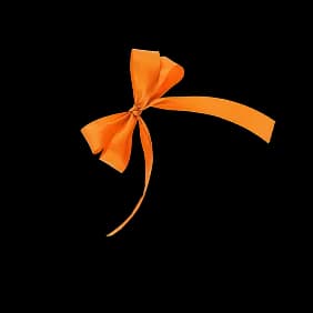Noeud cadeau orange